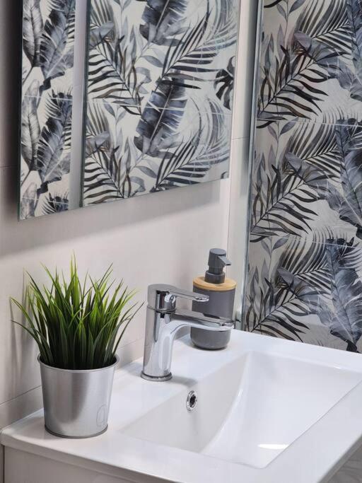Piso De Diseno Elche Apartment Екстериор снимка