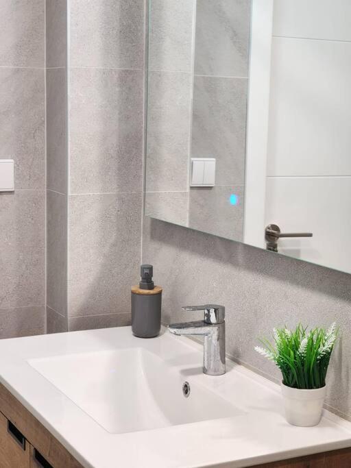 Piso De Diseno Elche Apartment Екстериор снимка
